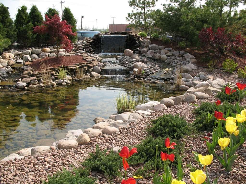 Hilton Garden Inn Buffalo Airport Чиктовага Экстерьер фото